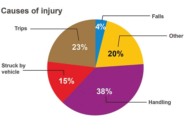 Causes-Injury-Chart[6]